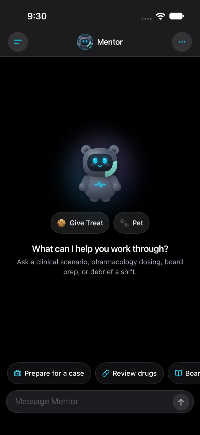 The SteadyStateApp Mentor chat screen